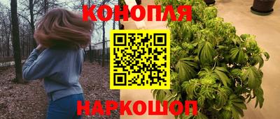 дмт Брянск