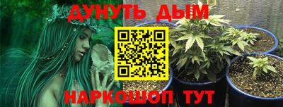 дмт Брянск