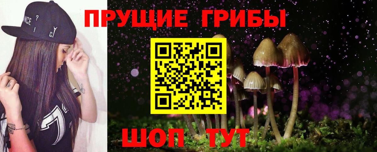 Галлюциногенные грибы Magic Shrooms Архангельск